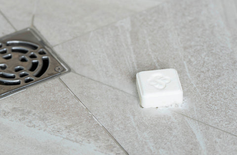 Eucalyptus and pine SpaBoréal Shower Steamer Tablet